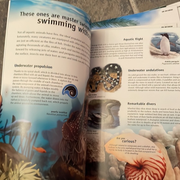 7 “so many ways” books with birds, reptiles, animals etc - Picture 11 of 12